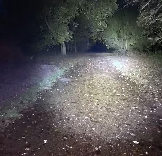 Dog walker spots 'demonic figure' crawling across the path of country park 'haunted' 1