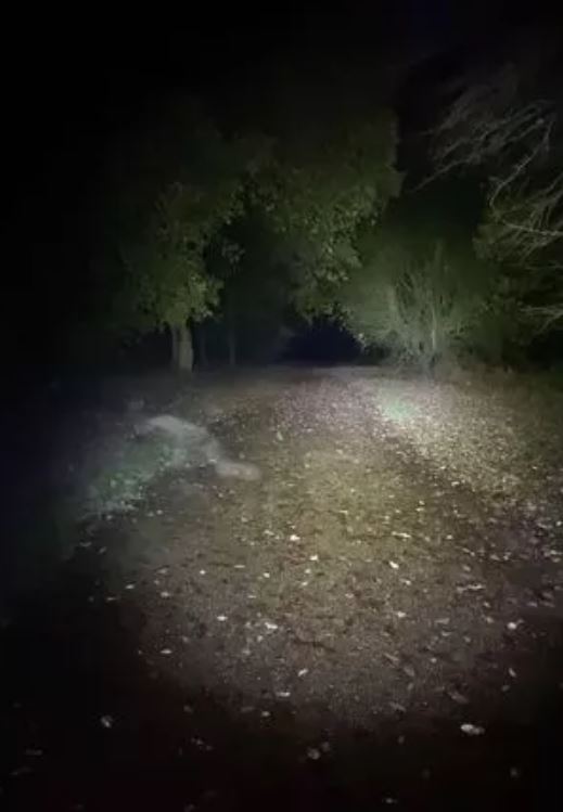 Dog walker spots 'demonic figure' crawling across the path of country park 'haunted' 2