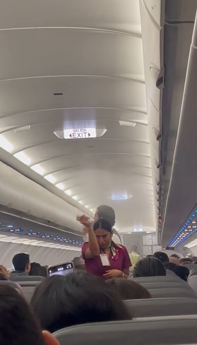 Flight was delayed as mosquito swarm takes over plane, forcing crew to spray the cabin 2