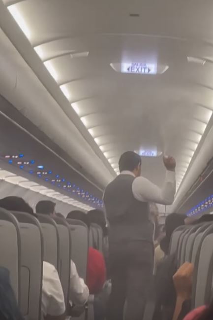 Flight was delayed as mosquito swarm takes over plane, forcing crew to spray the cabin 4