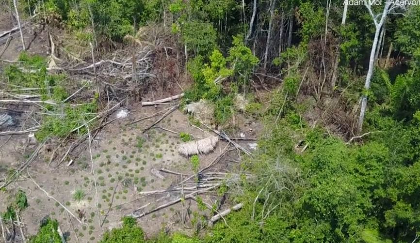 Drone footage captures incredibly rare images of tribe that has never had any contact with the outside world 4