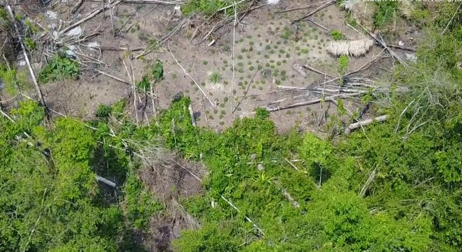 Drone footage captures incredibly rare images of tribe that has never had any contact with the outside world 5