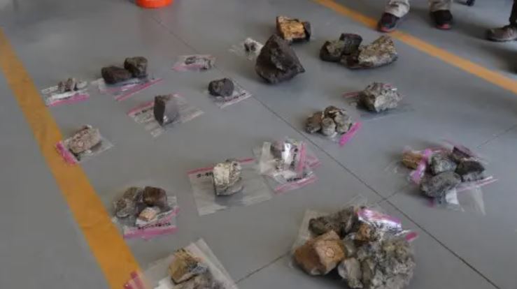 Four charged with stealing $1M worth of dinosaur bones and shipping them to China 2
