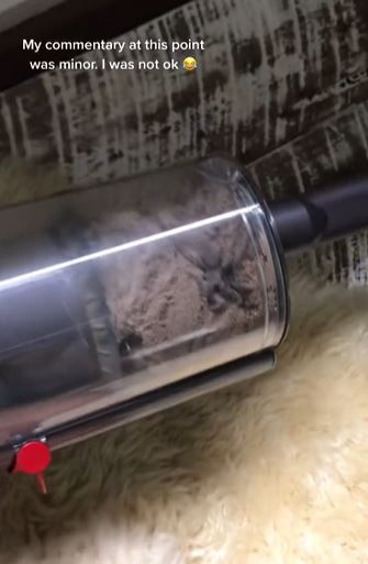 Woman unable to sleep in her room for three days after looking in her vacuum cleaner 4