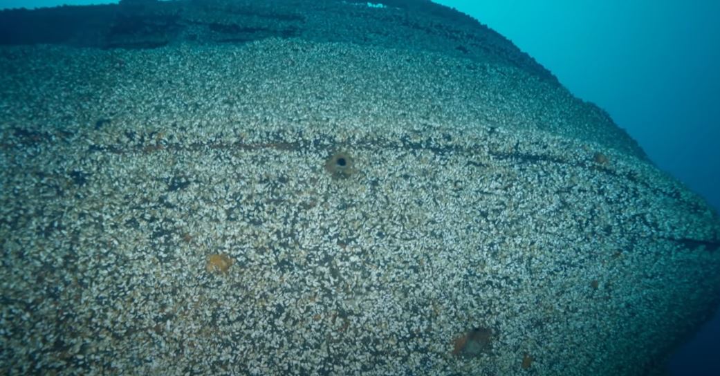 Missing ship, sunk in storm nearly 130 years ago found untouched at bottom of lake 6