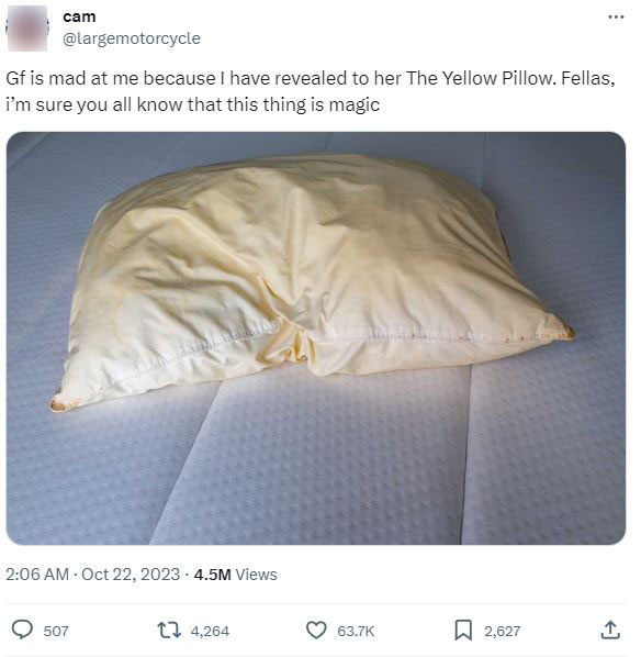 Man sparked debate after revealing ‘The Yellow Pillow’ to his girlfriend 1