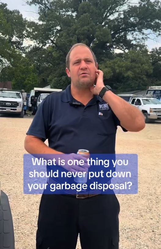 Plumbers reveal the items you would NEVER put down a garbage disposal 2