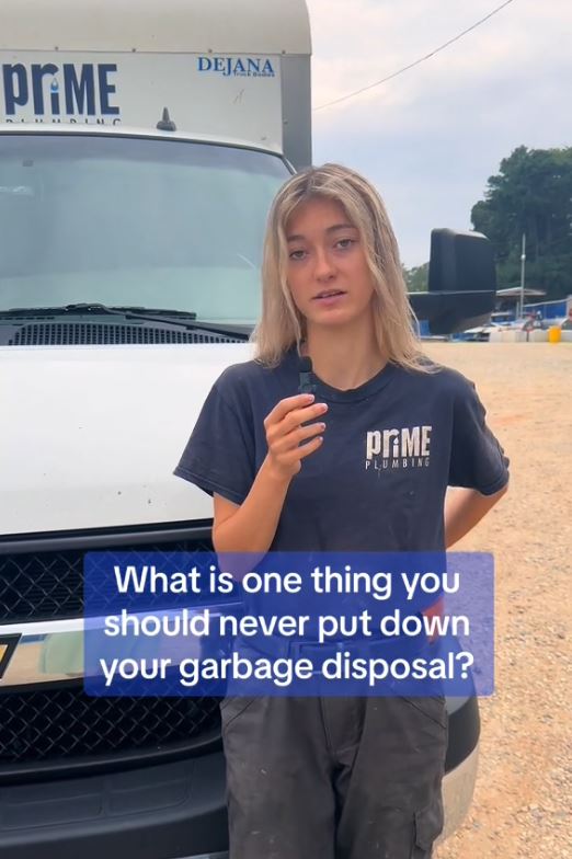 Plumbers reveal the items you would NEVER put down a garbage disposal 3