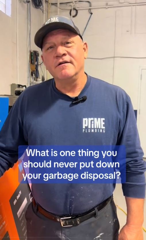 Plumbers reveal the items you would NEVER put down a garbage disposal 4