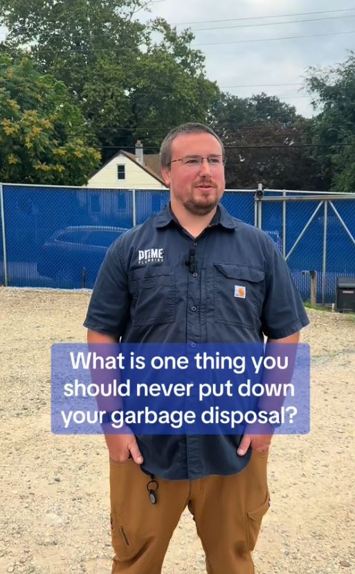 Plumbers reveal the items you would NEVER put down a garbage disposal 5