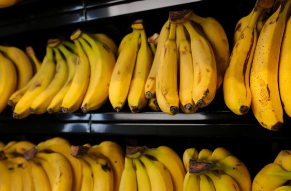 Scientists warn bananas may go extinct as fungal disease is about to wipe out plantations across the globe 5