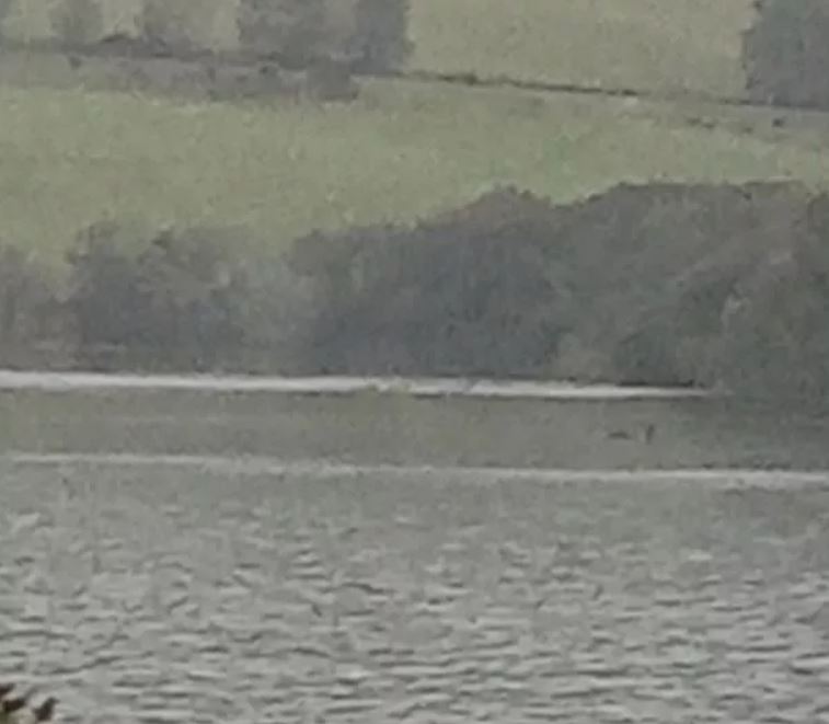Man captures 'clearest evidence yet' of the Loch Ness Monster's existence 1