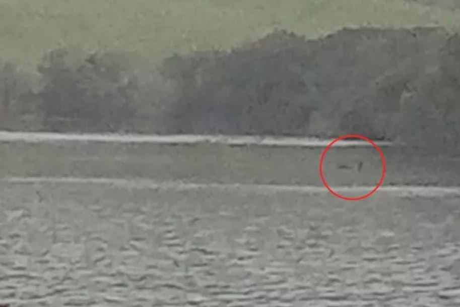 Man captures 'clearest evidence yet' of the Loch Ness Monster's existence 2