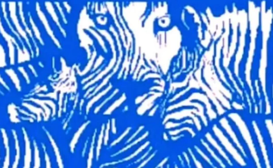 Based on the animal you see first, this optical illusion determines what kind of friend you are 1 Based on the animal you see first, this optical illusion determines what kind of friend you are 1