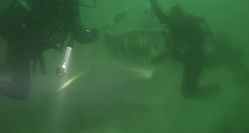 Divers stunned after spotting shark statue dumped at bottom of lake 5
