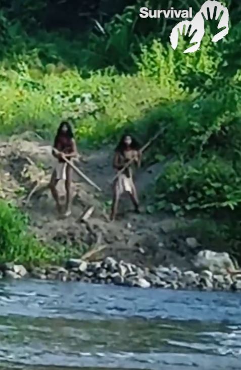 Dramatic footage shows an uncontacted tribe confronting a bulldozer near nickel mine 2