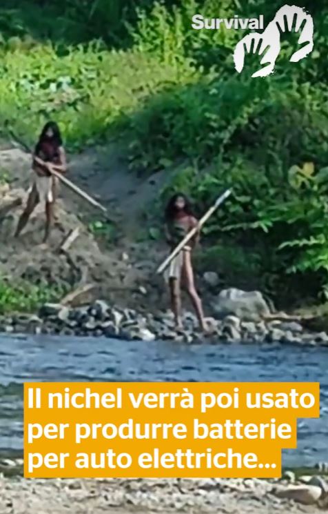 Dramatic footage shows an uncontacted tribe confronting a bulldozer near nickel mine 3