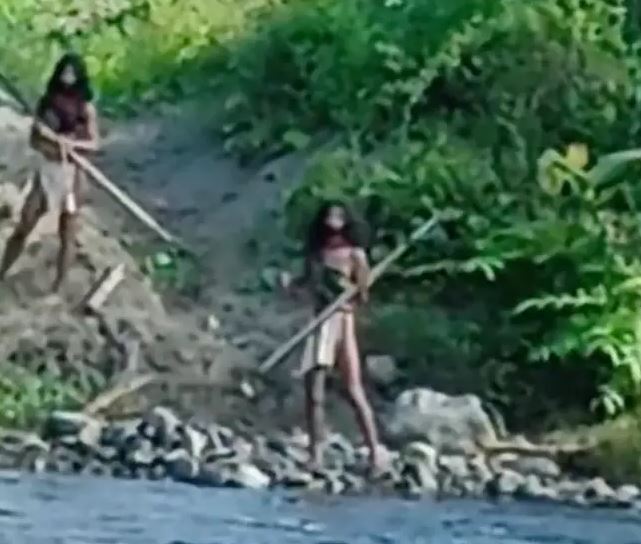 Dramatic footage shows an uncontacted tribe confronting a bulldozer near nickel mine 4