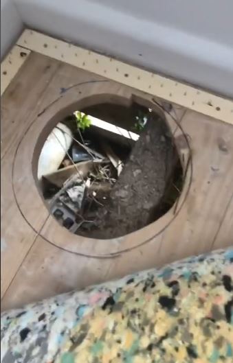 Tenant stunned after unexpected discovery underneath carpet 3