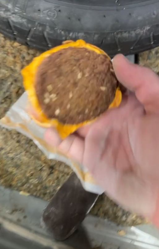 Man stunned after spotting a 'fossilised' McDonald's cheeseburger in the back of an old car for years 2