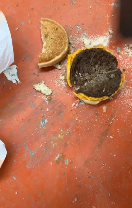 Man stunned after spotting a 'fossilised' McDonald's cheeseburger in the back of an old car for years 5