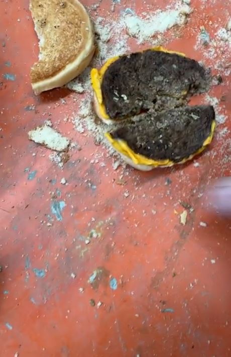 Man stunned after spotting a 'fossilised' McDonald's cheeseburger in the back of an old car for years 6