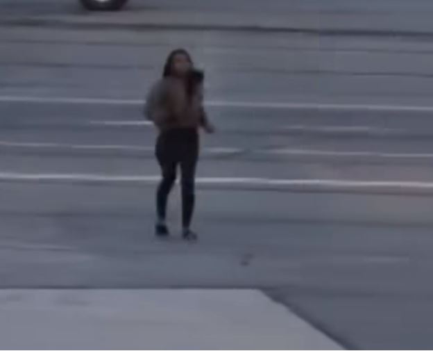 Woman arrested after allegedly running onto the tarmac at airport 5