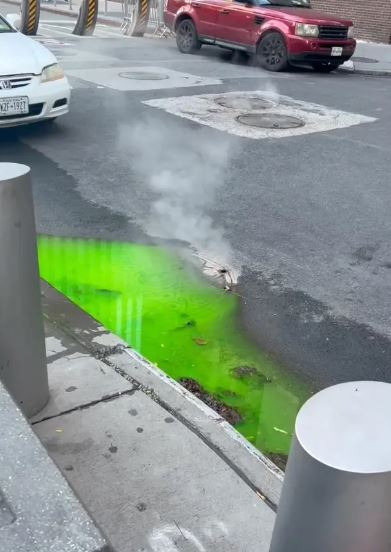 Footage reveals mysterious green sludge spotted bubbling up from underground in New York City 3