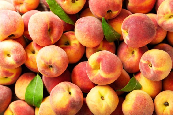 People are just discovering what the fuzzy stuff that grows on peaches actually is 1