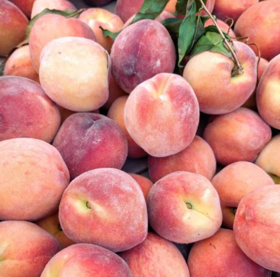 People are just discovering what the fuzzy stuff that grows on peaches actually is 2