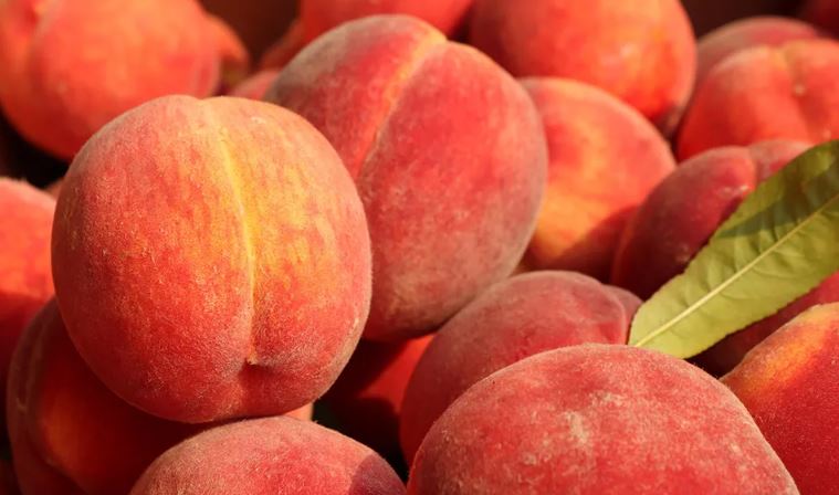 People are just discovering what the fuzzy stuff that grows on peaches actually is 3