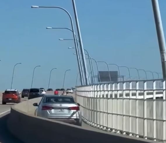 Driver cited after driving on Arthur Ravenel Jr. bridge pedestrian lane 2