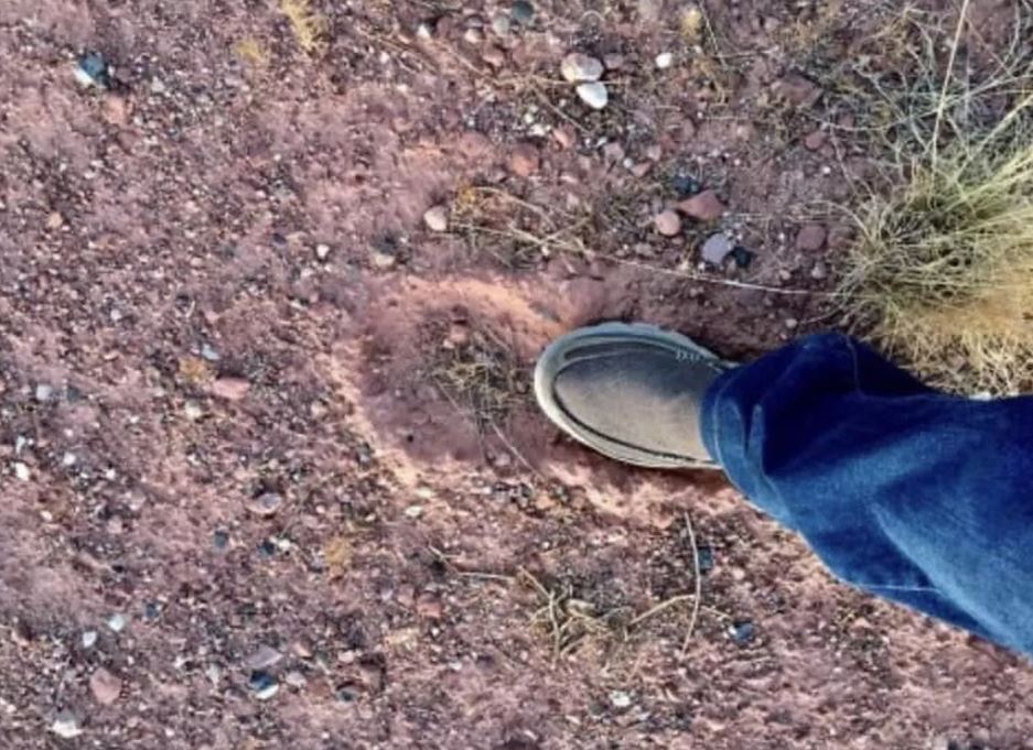 Man stunned after spotting mystery footprints of Bigfoot, twice the size of human 4
