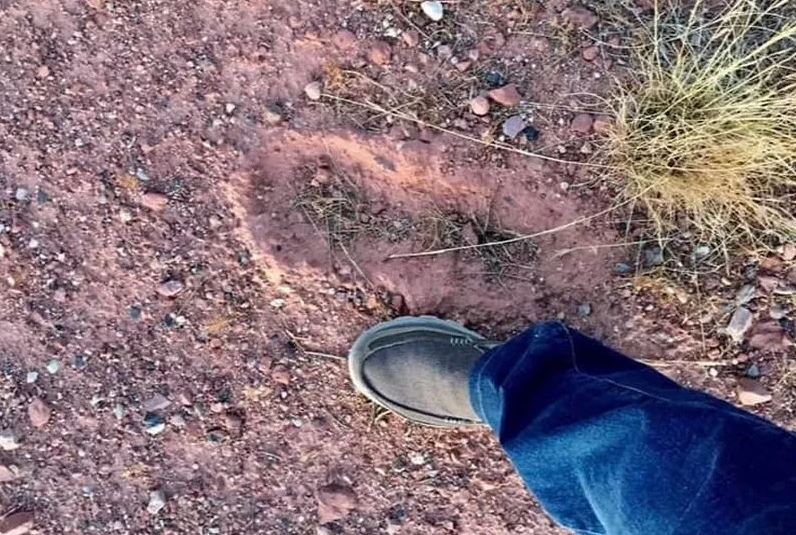Man stunned after spotting mystery footprints of Bigfoot, twice the size of human 5