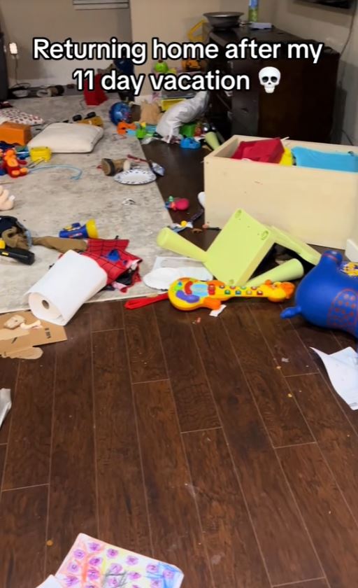 Woman urged to divorce after she shows the mess her husband made 4
