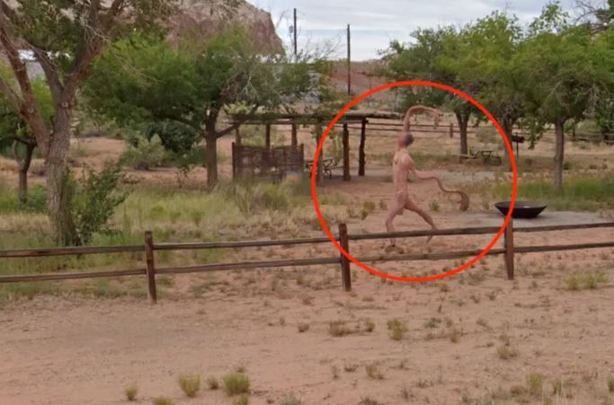Bizarre creature with floppy arm, spotted on Google Street, leaving users baffled 2