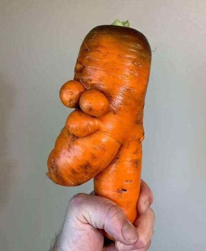 Man stunned after discovering his carrot bears likeness to Homer Simpson 1
