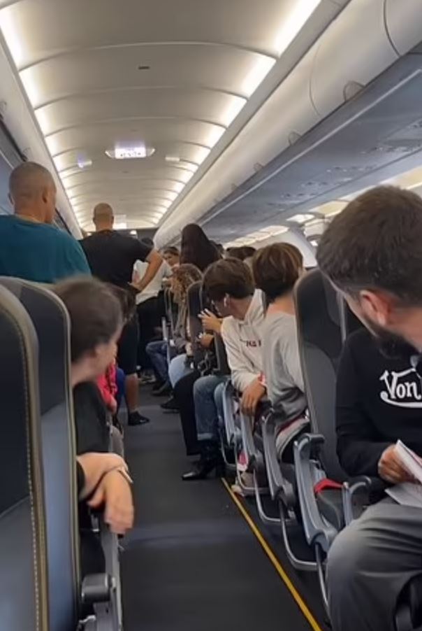 Passengers are stunned after moment woman gives birth on airplane 1