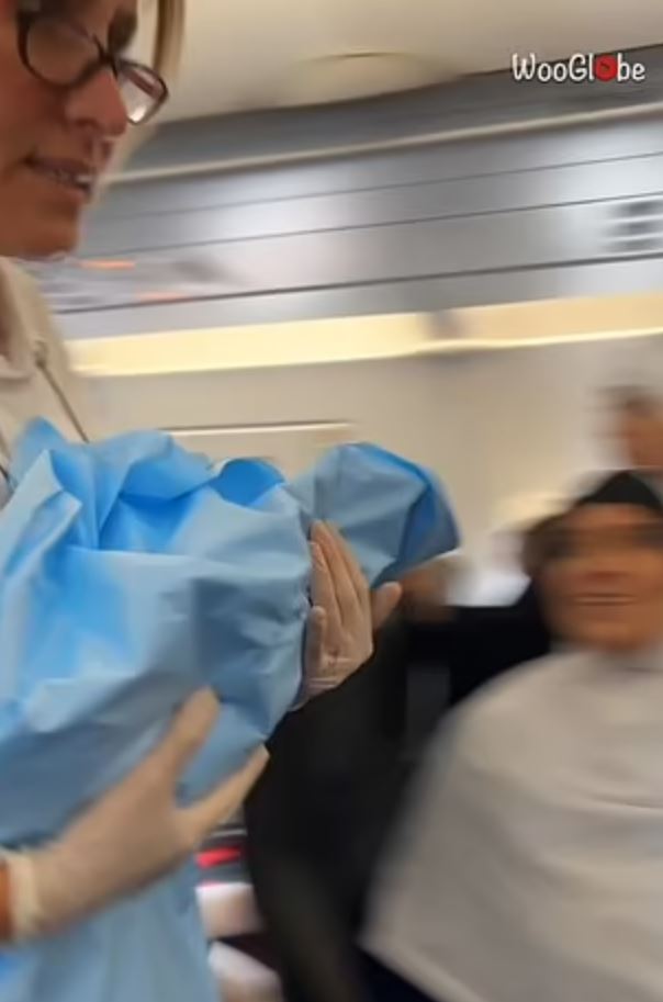 Passengers are stunned after moment woman gives birth on airplane 3