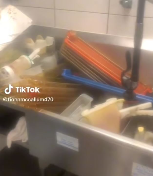 McDonald's worker quits mid-shift after being asked to clean sink full of dirty dishes 2