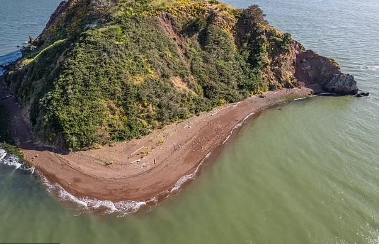 San Francisco's only private island hits on the market for $25million - without running water, power, or wi-fi 2