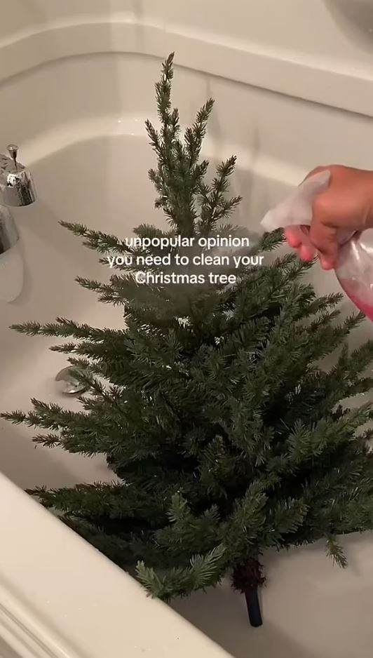 She wrote in the video: 'Unpopular opinion: You need to clean your Christmas tree'. Image Credits: @rhema.br/Tiktok