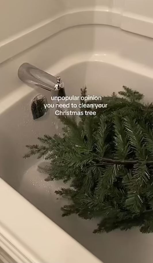 Woman sparks debate after revealing she DEEP CLEANS her Christmas tree 3