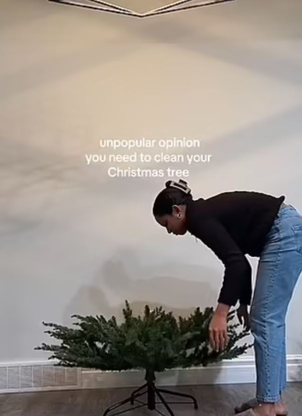Woman sparks debate after revealing she DEEP CLEANS her Christmas tree 5