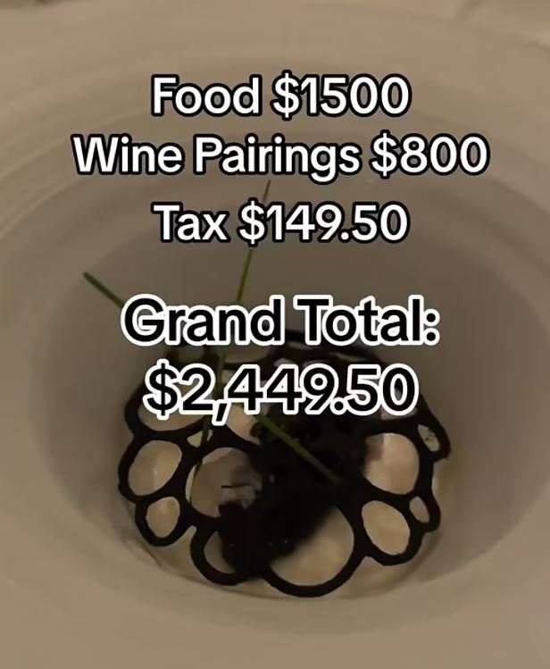 Food enthusiast shows close-up of $2,500 spent on a meal at Disney's most EXPENSIVE restaurant, leaving people stunned 5