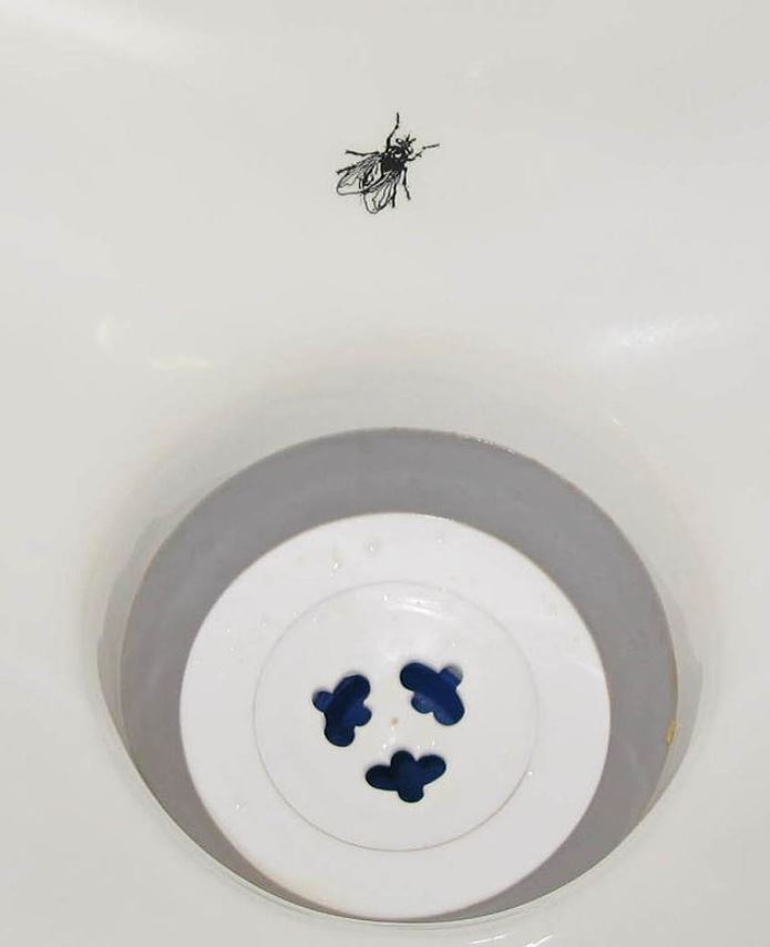 Amsterdam airport installed a ‘‘urinal fly’ to reduce splash 1