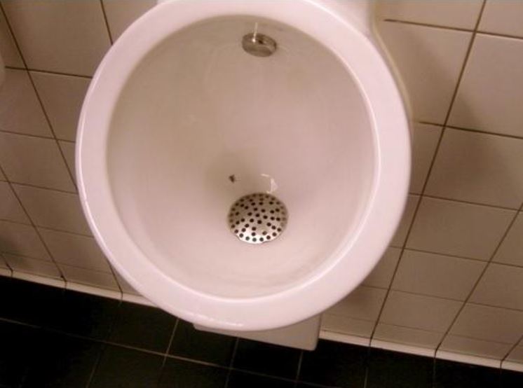 Amsterdam airport installed a ‘‘urinal fly’ to reduce splash 2