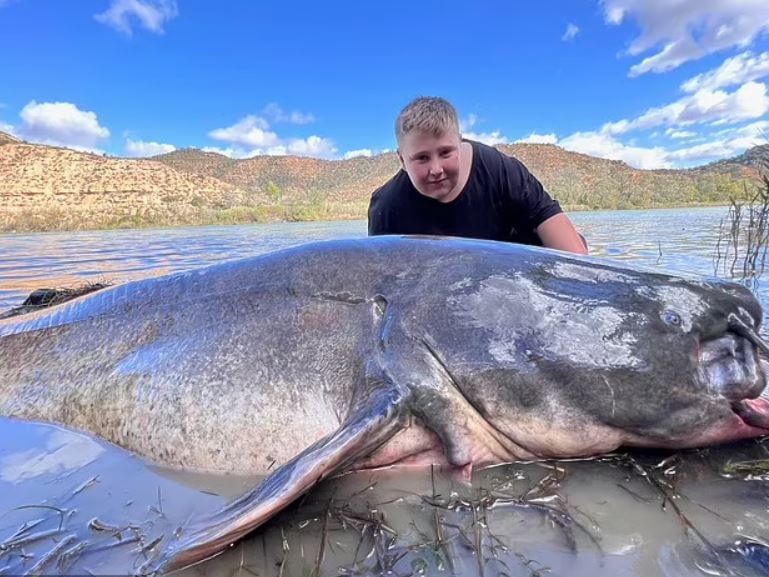 11-year-old boy breaks record after catching mega 152lb catfish during holiday 1