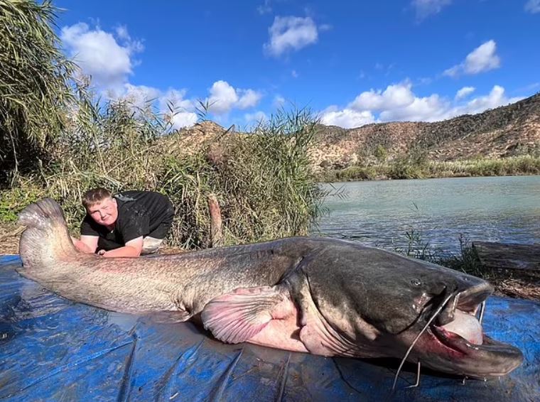 11-year-old boy breaks record after catching mega 152lb catfish during holiday 3