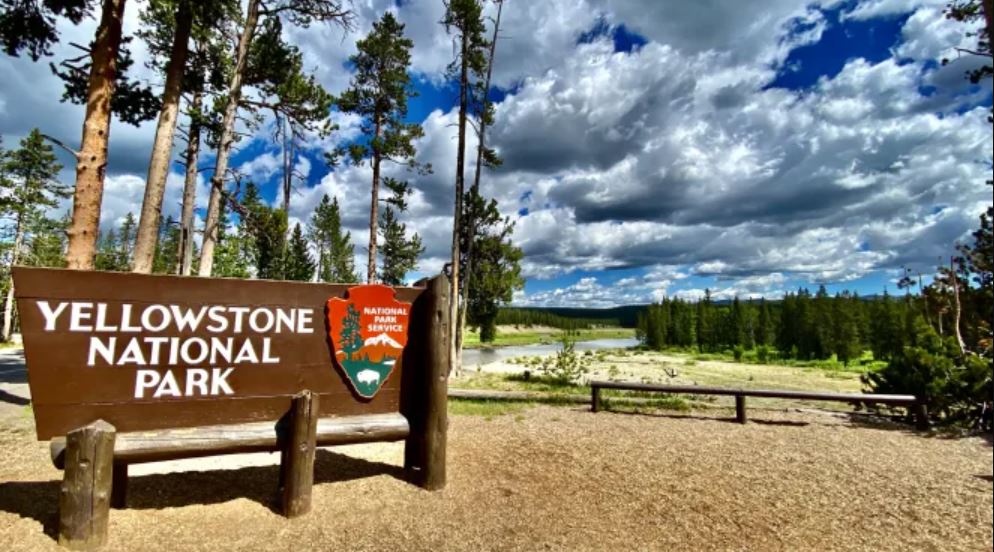 He has been given a court date and faces potential consequences for his mistake in Yellowstone National Park. Image Credits: Getty